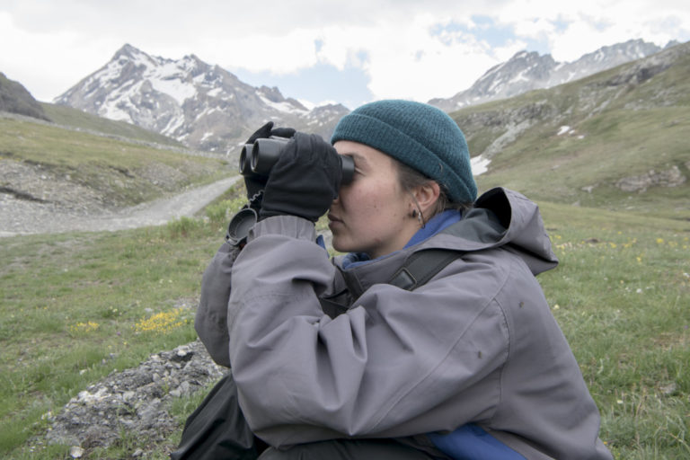 la marmotte - Une étudiante observe les marmottes alpines à distance