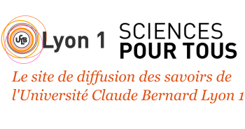 Sciences pour tous - Université Lyon 1