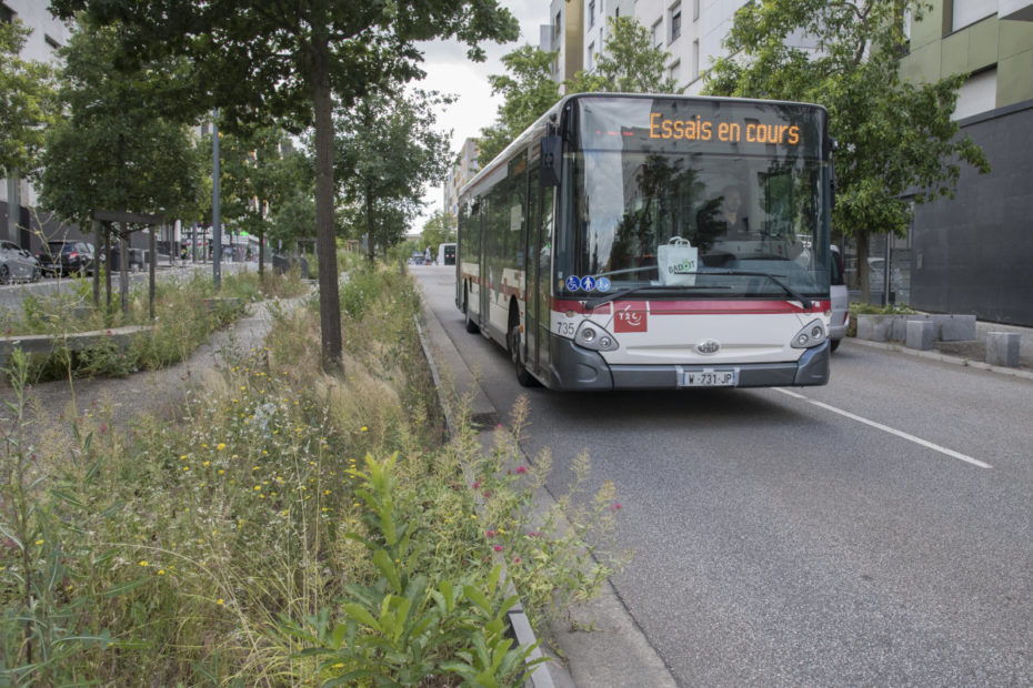 Pollution de l'air aux particules ultrafines - Sciences pour tous